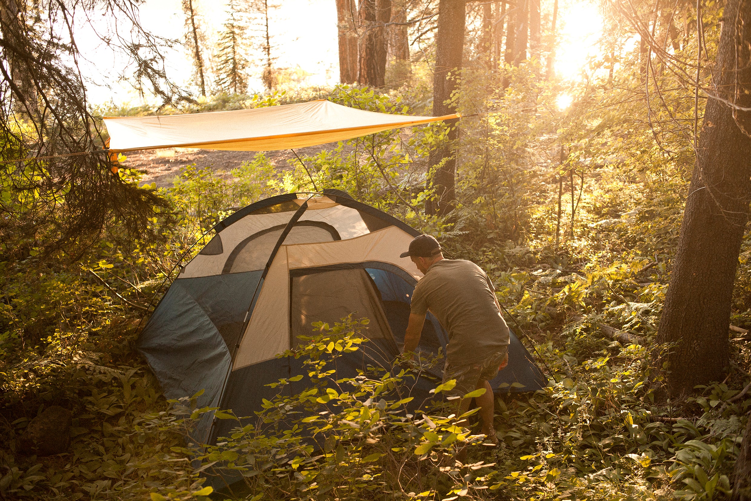 TREEO 3-1 Hammock, beach blanket and rain fly TREEO 3-1 Hammock, beach blanket and rain fly